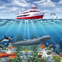 Whale watching