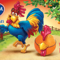 StephenBailey_rooster