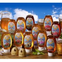Honey illustrations