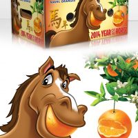 Sunkist orange
