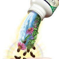 Kirkland vitamins